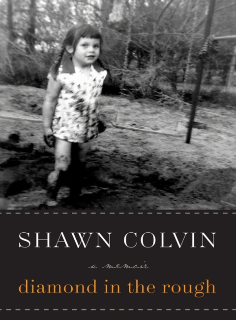 Cover image for book Diamond in the Rough