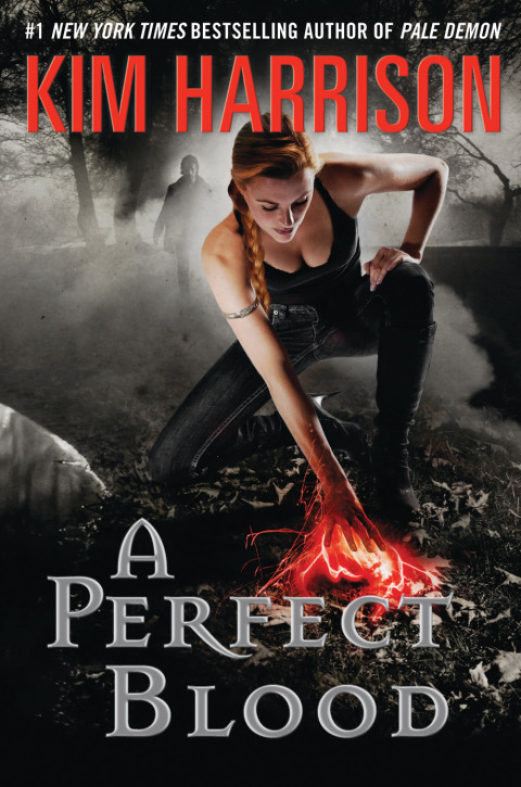 Cover image for book Perfect Blood, A