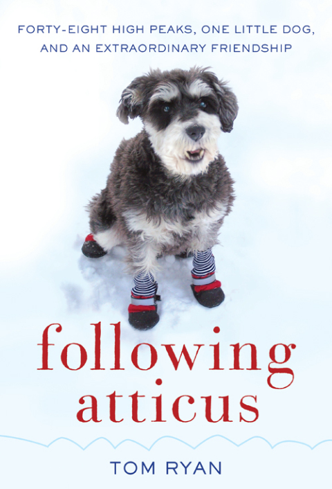 Cover image for book Following Atticus