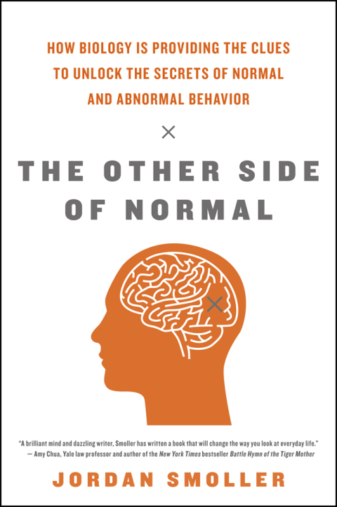 Cover image for book The Other Side of Normal