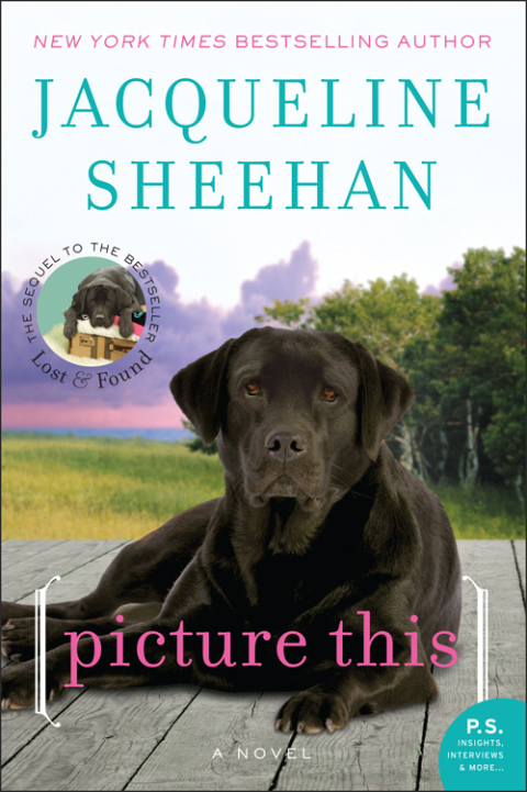 Cover image for book Picture This