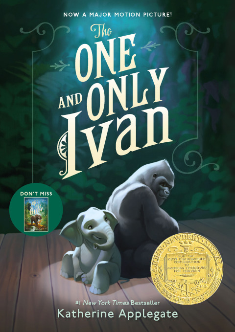 Cover image for book The One and Only Ivan