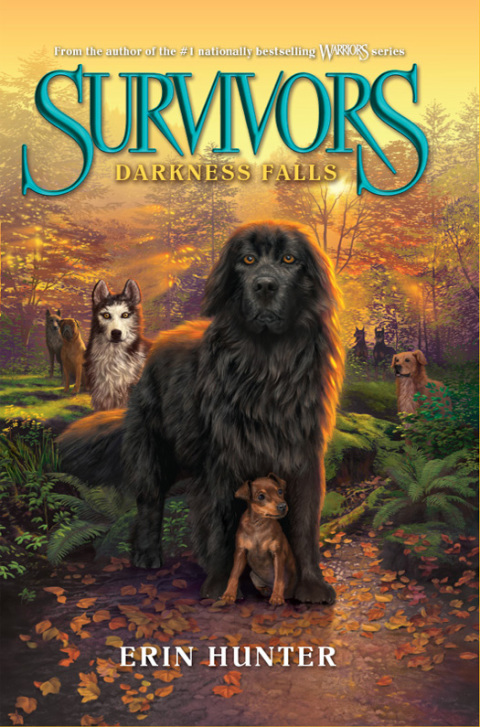 Cover image for book Survivors #3: Darkness Falls