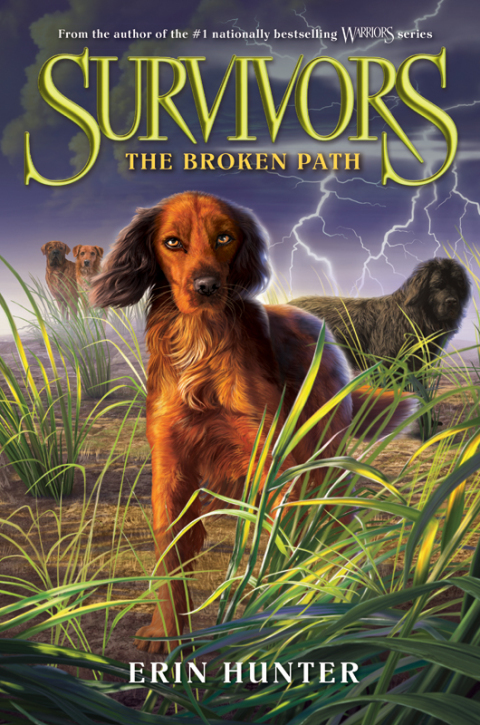 Cover image for book Survivors #4: The Broken Path