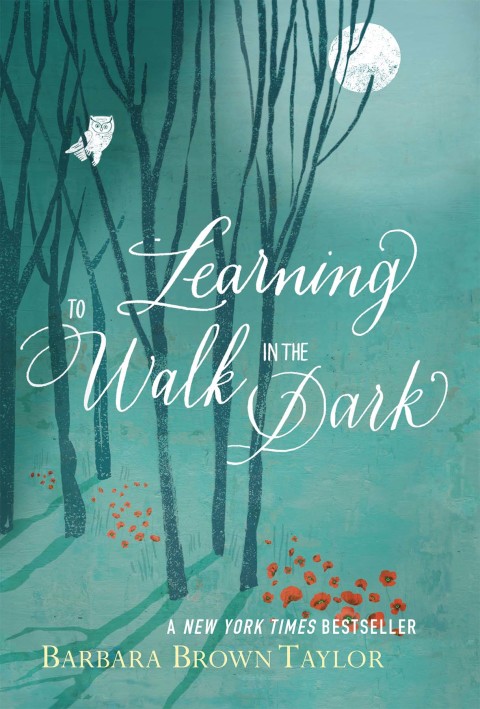 Cover image for book Learning to Walk in the Dark