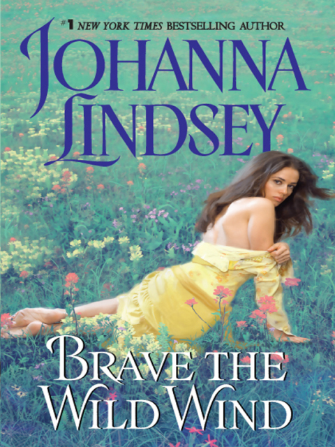 Cover image for book Brave the Wild Wind