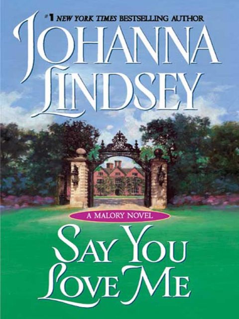 Cover image for book Say You Love Me
