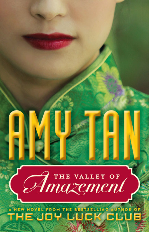 Cover image for book The Valley of Amazement
