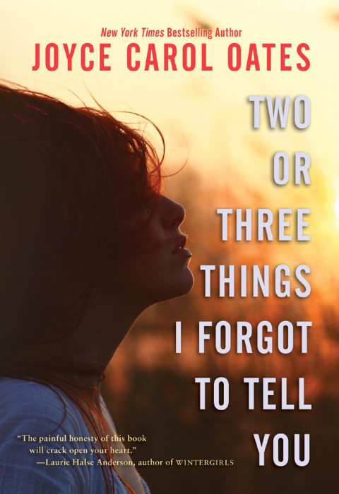 Cover image for book Two or Three Things I Forgot to Tell You
