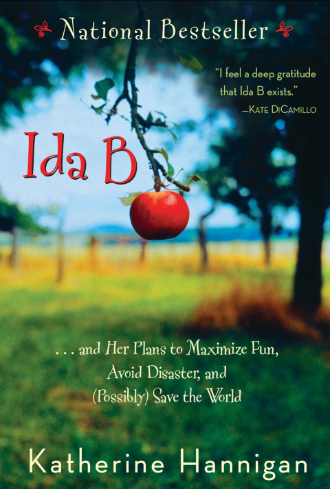 Cover image for book Ida B