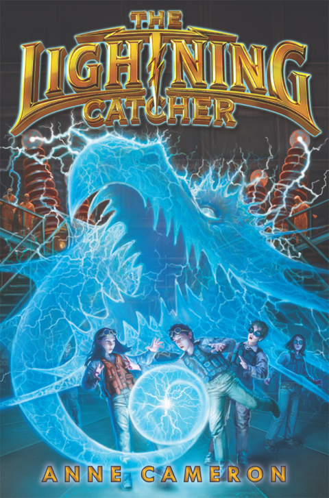 Cover image for book The Lightning Catcher