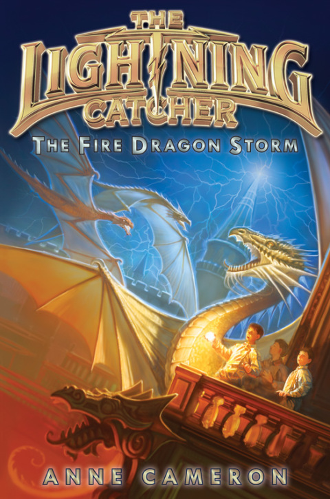 Cover image for book The Fire Dragon Storm
