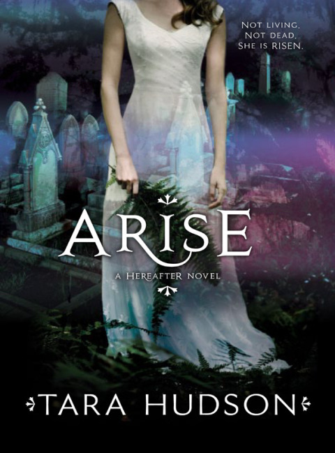 Cover image for book Arise