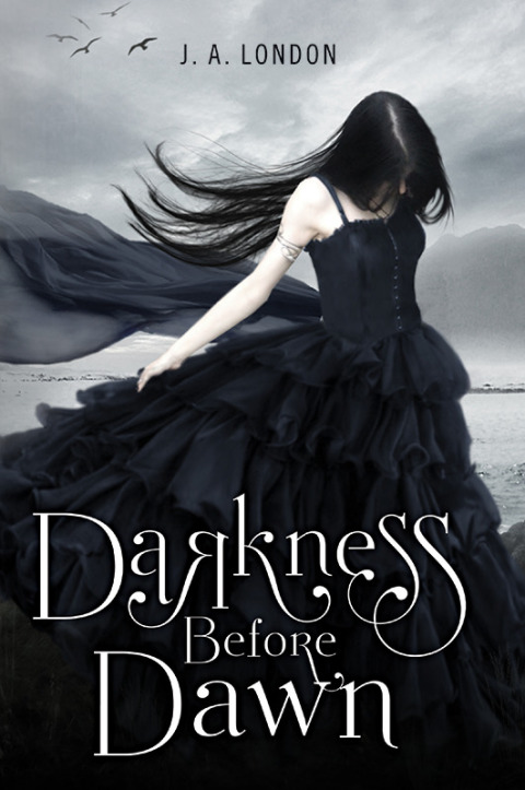 Cover image for book Darkness Before Dawn