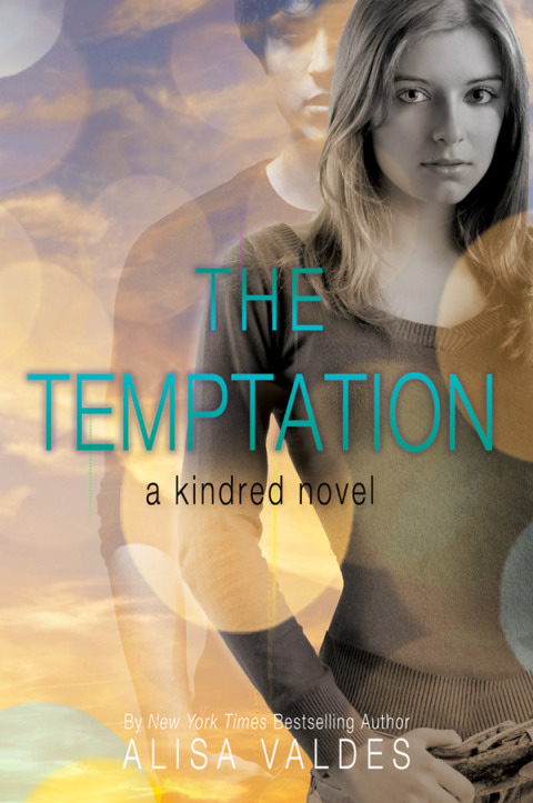Cover image for book The Temptation