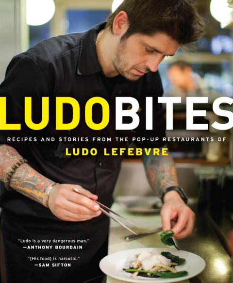 Cover image for book LudoBites