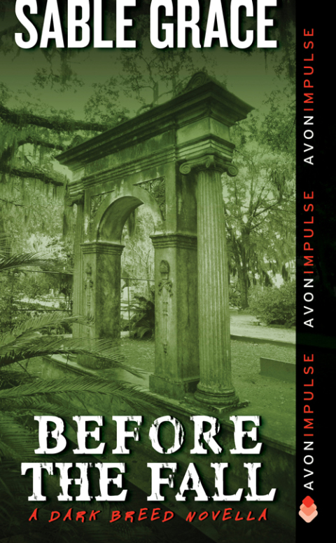 Cover image for book Before the Fall