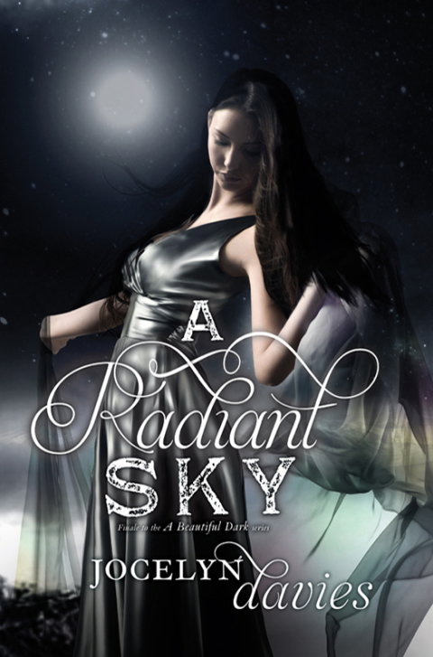 Cover image for book A Radiant Sky