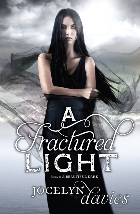 Cover image for book A Fractured Light