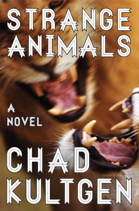 Cover image for book Strange Animals
