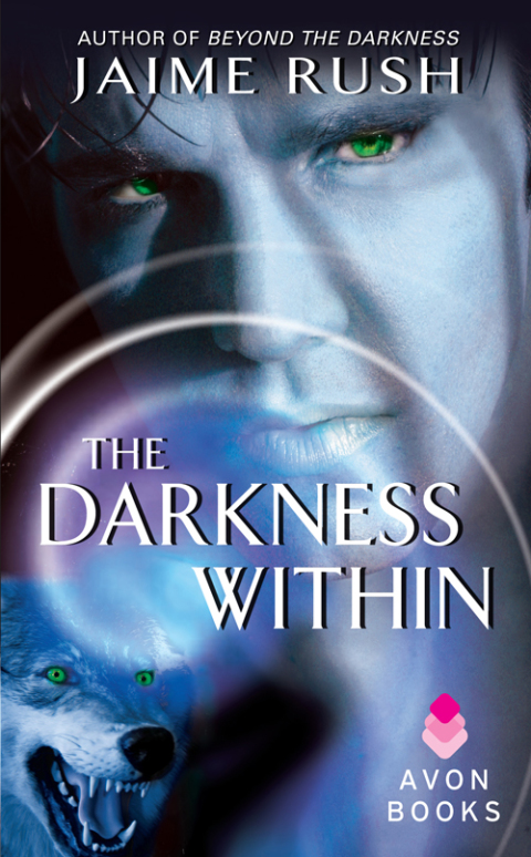 Cover image for book The Darkness Within