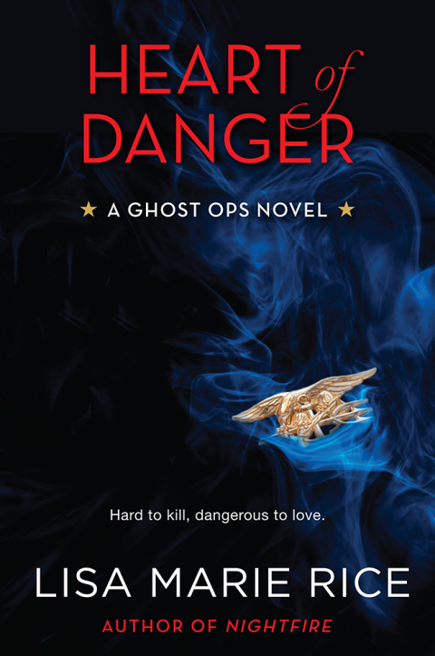 Cover image for book Heart of Danger
