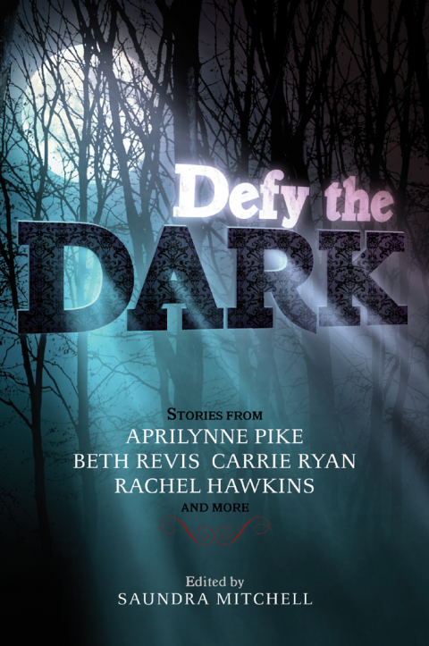 Cover image for book Defy the Dark