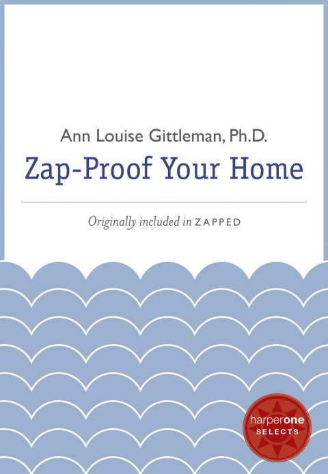 Cover image for book Zap Proof Your Home
