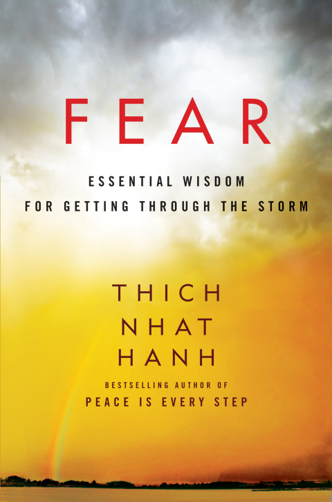 Cover image for book Fear