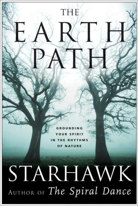 Cover image for book The Earth Path