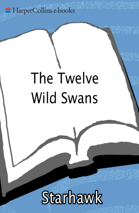 Cover image for book The Twelve Wild Swans