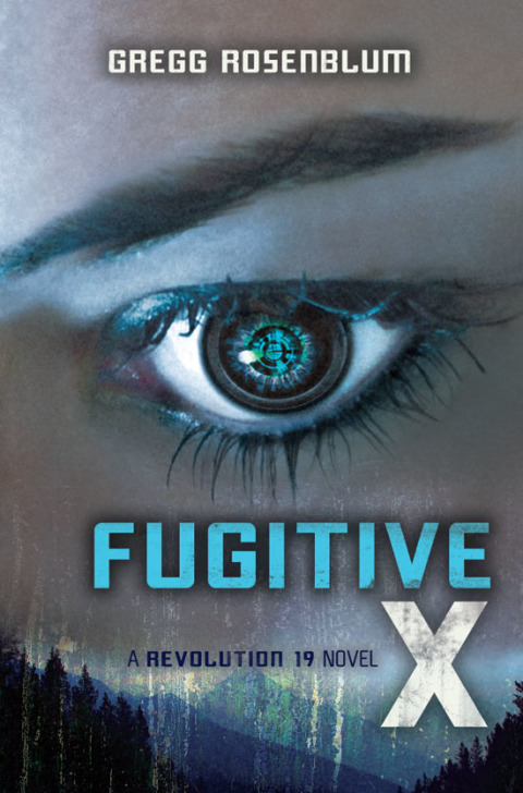 Cover image for book Fugitive X