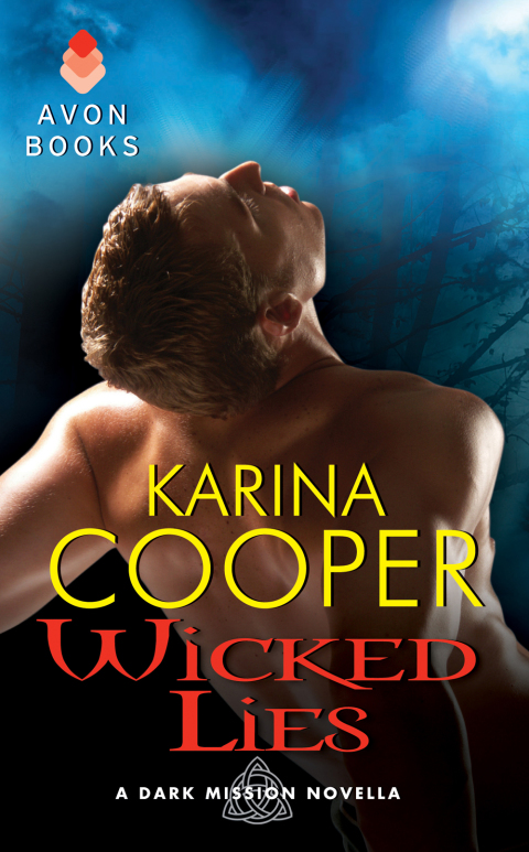 Cover image for book Wicked Lies
