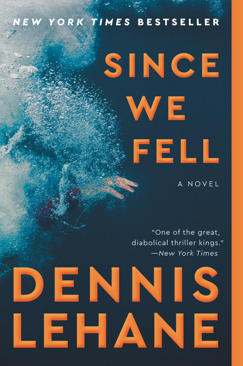 Cover image for book Since We Fell