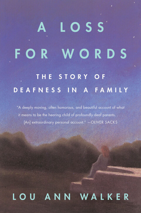 Cover image for book A Loss for Words