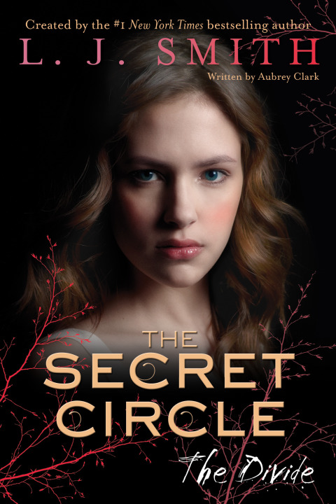 Cover image for book The Secret Circle: The Divide