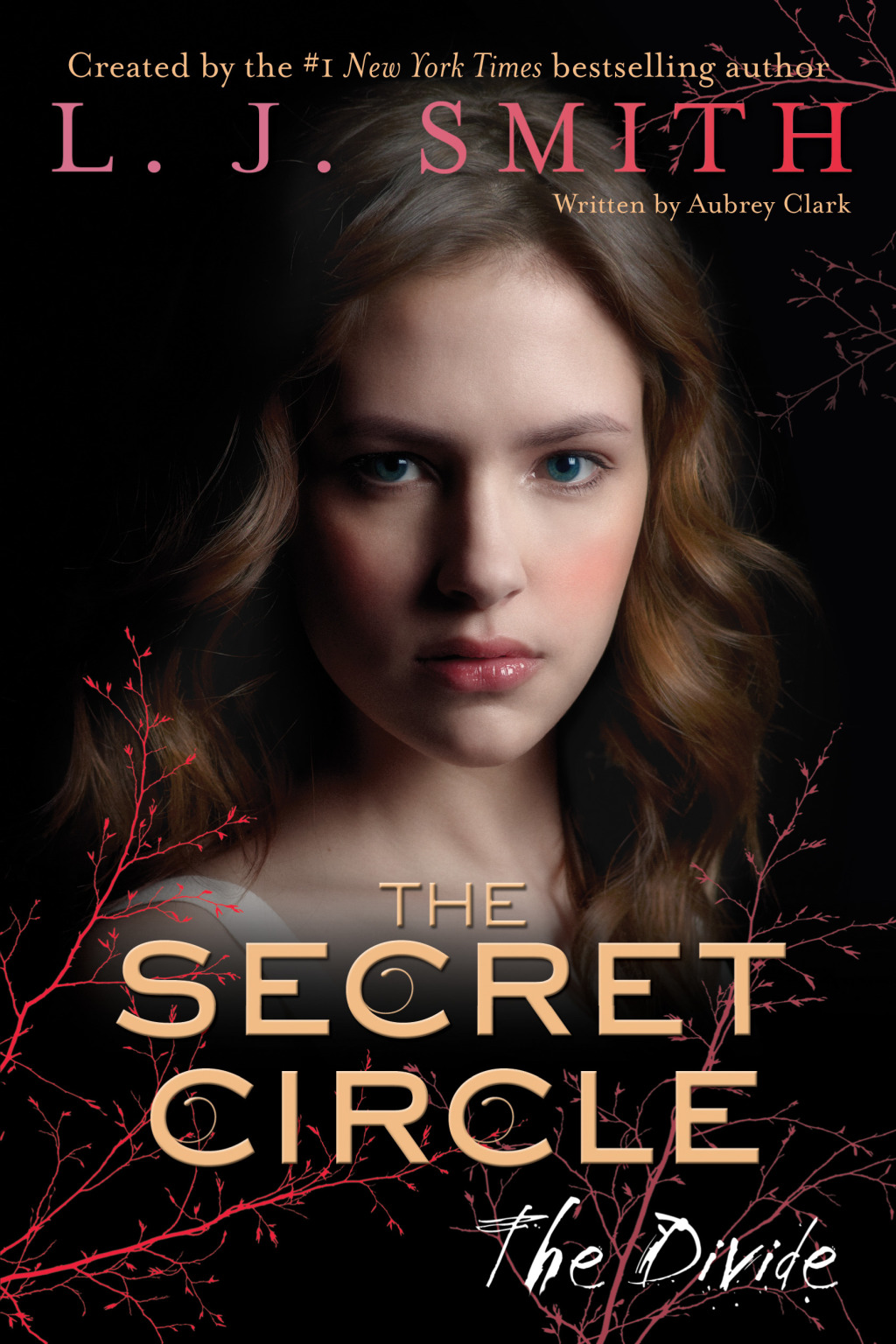 Reflowable The Secret Circle: The Divide; $15.53