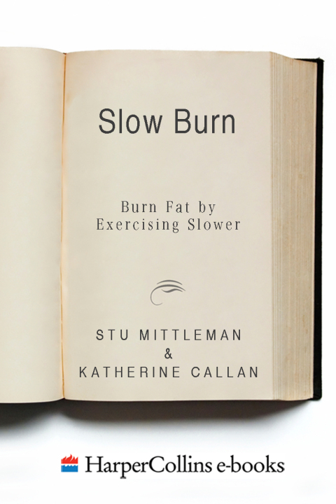 Cover image for book Slow Burn