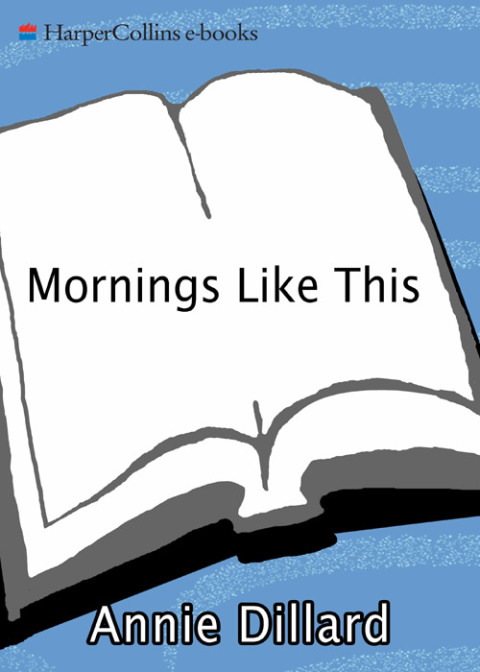 Cover image for book Mornings Like This