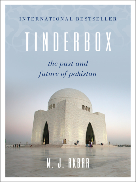 Cover image for book Tinderbox