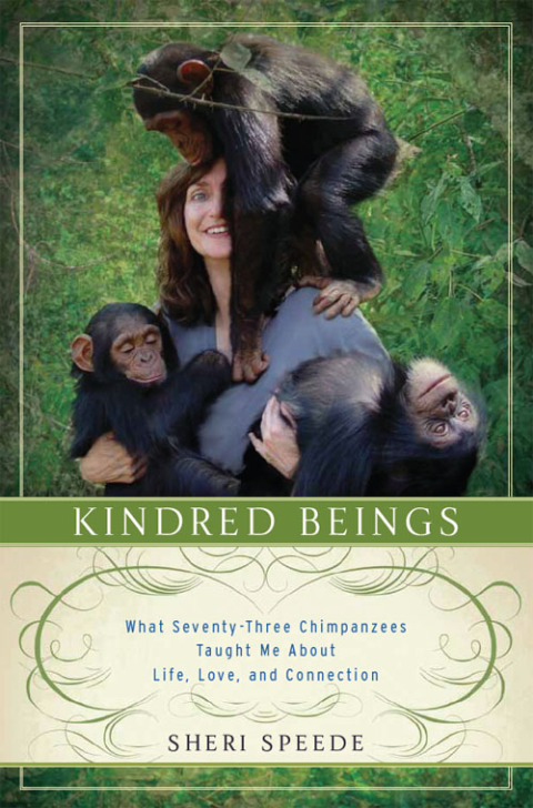 Cover image for book Kindred Beings