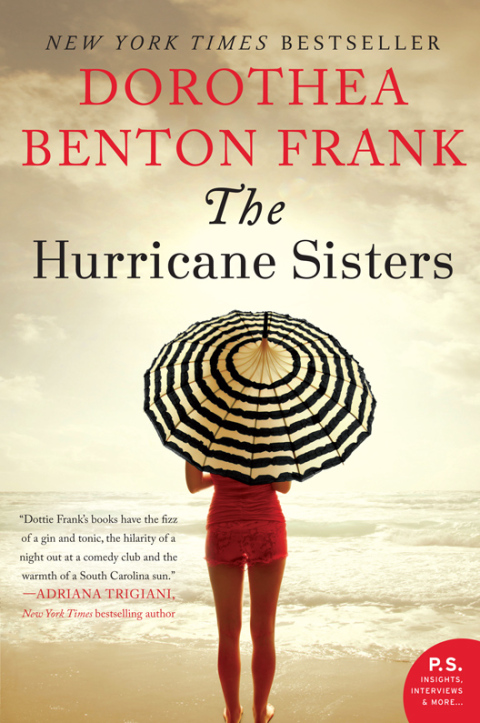 Cover image for book The Hurricane Sisters