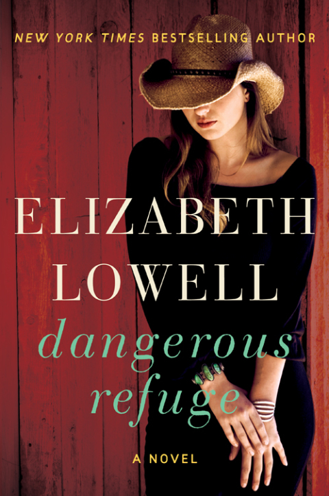 Cover image for book Dangerous Refuge