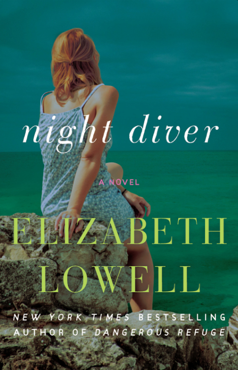 Cover image for book Night Diver