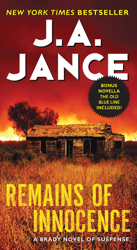 Cover image for book Remains of Innocence