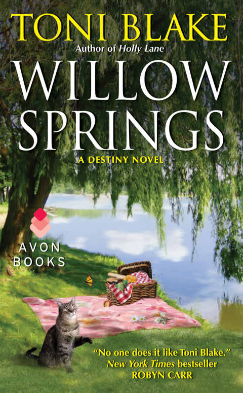 Cover image for book Willow Springs