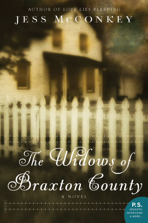 Cover image for book The Widows of Braxton County