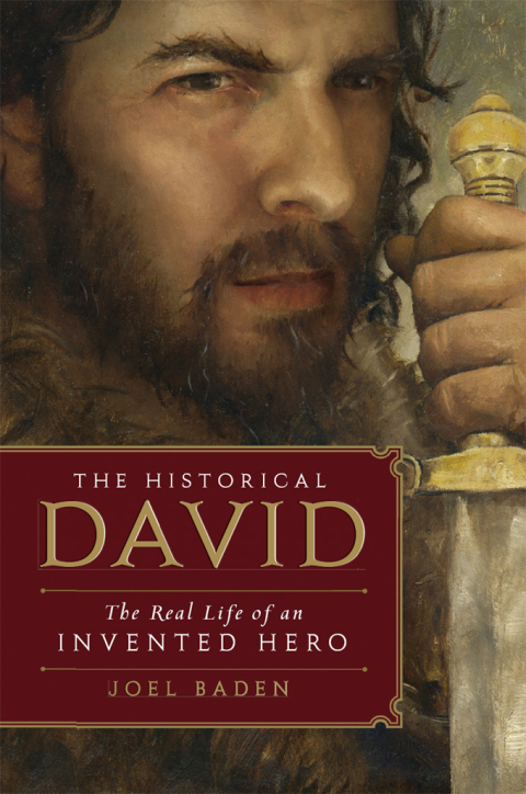 Cover image for book The Historical David