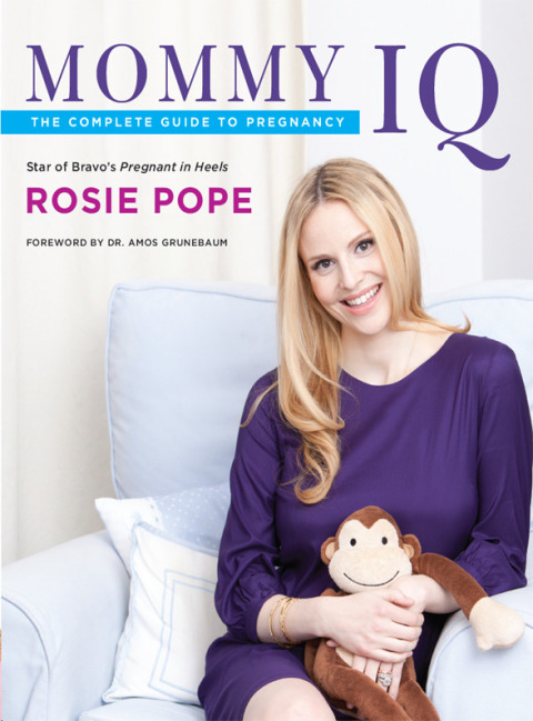 Cover image for book Mommy IQ