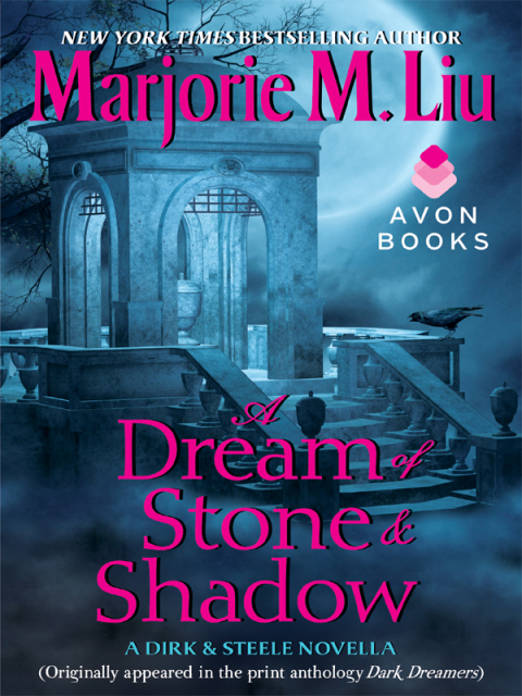 Cover image for book A Dream of Stone & Shadow